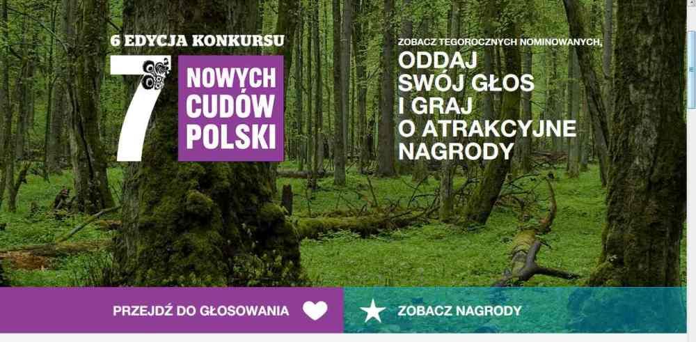 Muzeum wsród 7 nowych cudów Polski ?