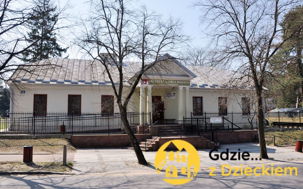 Polecają nas